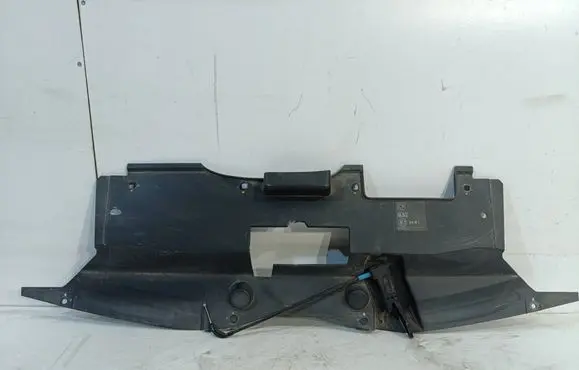 Renault Trafic III (X82) Engine bonnet/hood lock trim molding 620366902R GE0064286 M0U023344