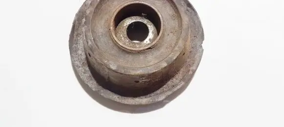 Coil spring mount