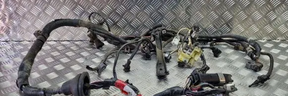 Toyota Avensis T220 Engine installation wiring loom 1713902080 1928401594