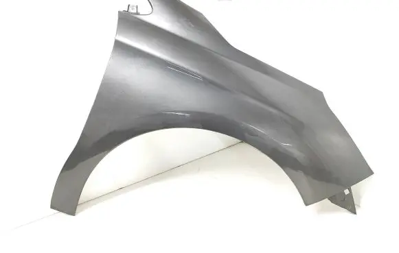 Citroen C4 II Fender