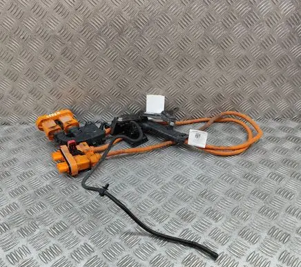 Audi Q4 Sportback e-tron Other wiring loom 1EA971015T 1EA973732X