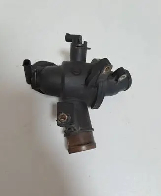 Thermostat/thermostat housing