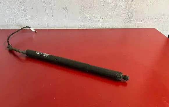 Tailgate strut