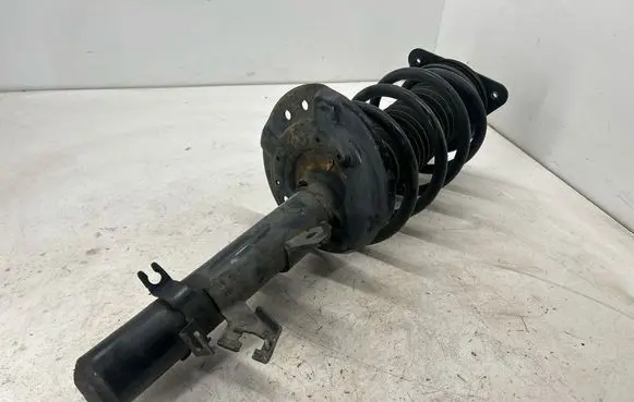 Nissan Rogue Front shock absorber with coil spring 543024BF1C