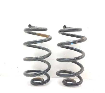 Nissan Qashqai+2 Rear coil spring