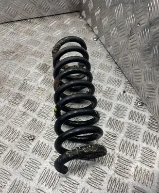 Rear coil spring