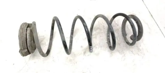 Rear coil spring