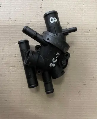 Thermostat/thermostat housing