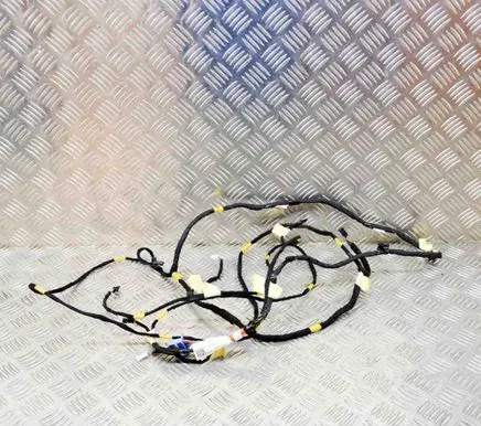 Tesla Model Y Other wiring loom 148904900C P148904900C