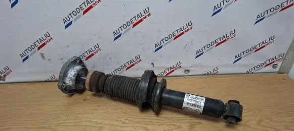 BMW X3 F25 Rear shock absorber/damper 6796317