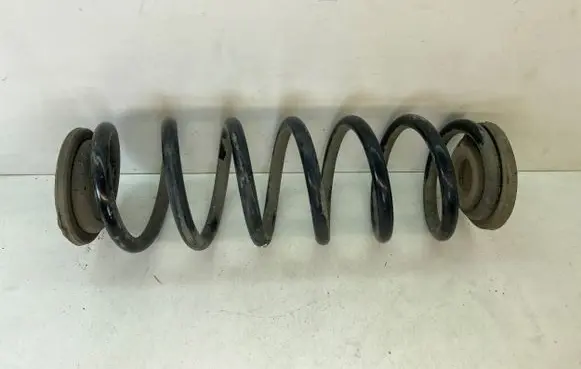 Volkswagen PASSAT B6 Rear coil spring