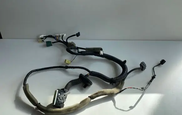 Nissan Murano Z52 Front door wiring loom