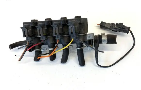 Fiat Tipo LP gas injector