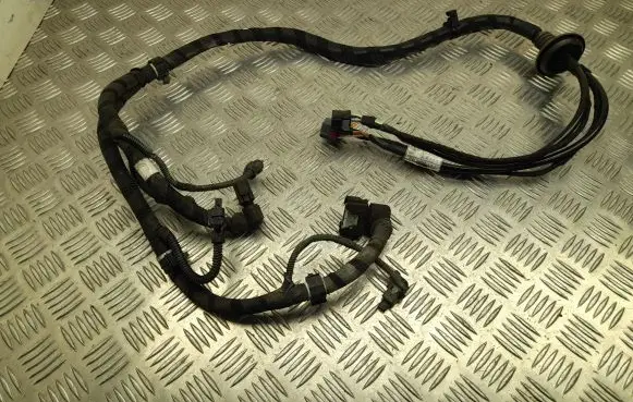 Alfa Romeo Giulia Other wiring loom 00552833920