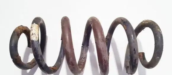 Toyota RAV 4 (XA30) Rear coil spring