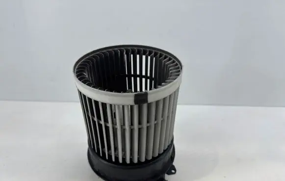 Renault Koleos II Heater fan/blower 4051082