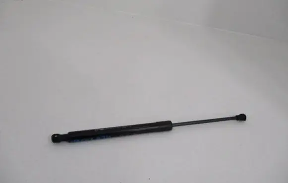Tailgate/trunk strut/damper