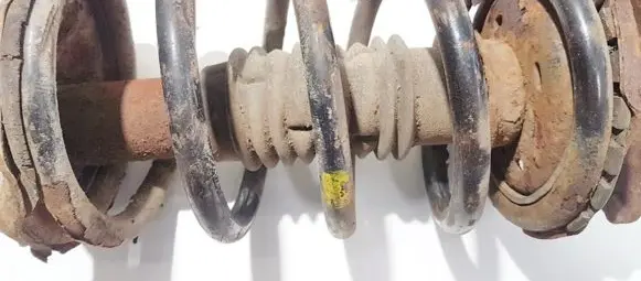 Front coil spring