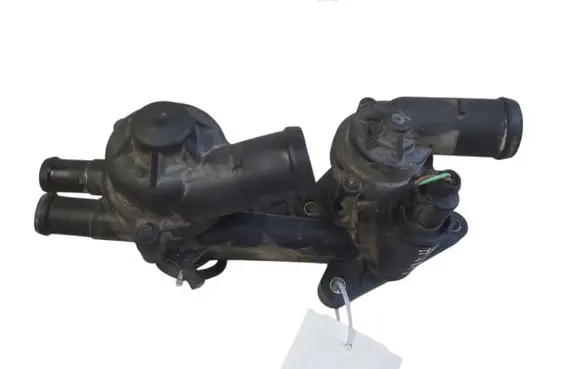 Thermostat/thermostat housing