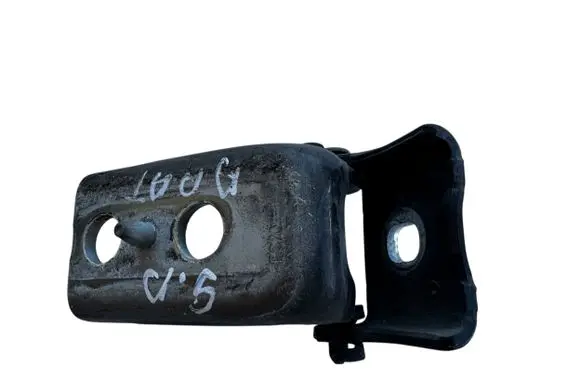Citroen DS5 Rear door lower hinge