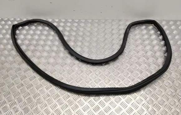 BMW iX Front door rubber seal 8491416