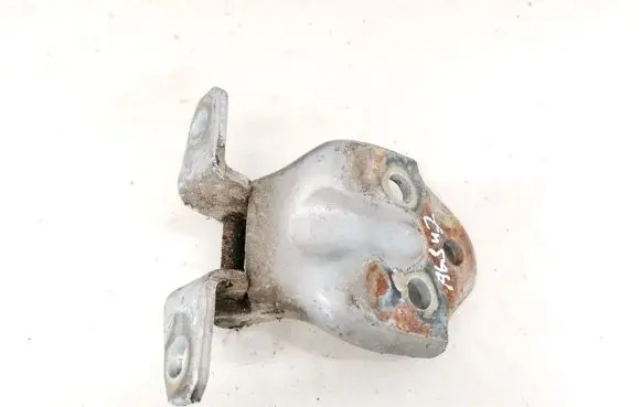 Hyundai Terracan Rear door lower hinge