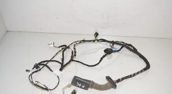 Front door wiring loom