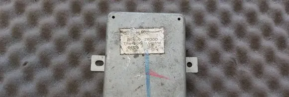Hyundai Lantra I Other control units/modules 9541028300