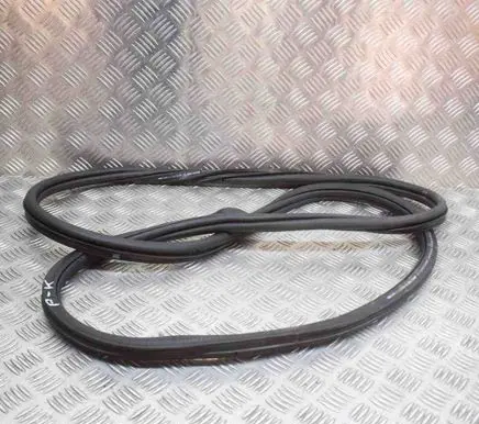 Volkswagen Golf VIII Rubber seal front coupe door 5H4867911