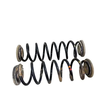 Rear coil spring