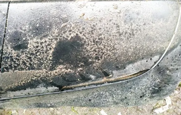 Rear bumper trim bar molding