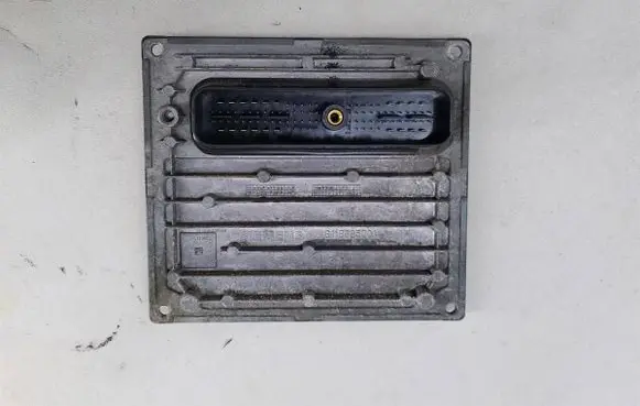 Engine control unit/module ECU