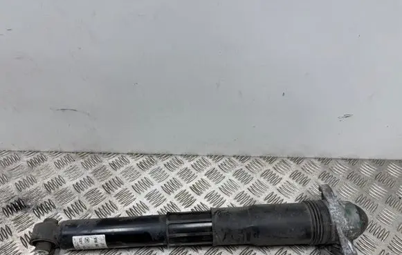 Audi Q4 e-tron Rear shock absorber/damper 1EA512013BT