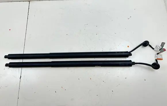 Ford Mustang Mach-E Tailgate/trunk strut/damper LJ8BR402A55AD
