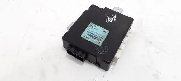 KIA Sorento Door central lock control unit/module 954003E310