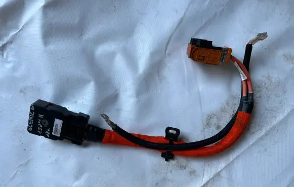 Renault Scenic IV - Grand scenic IV Positive cable (battery) 295D63696R
