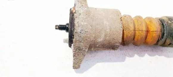 Coil spring mount