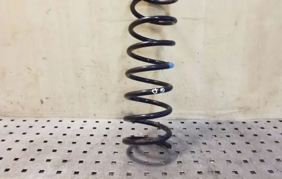 Ford Focus Rear coil spring