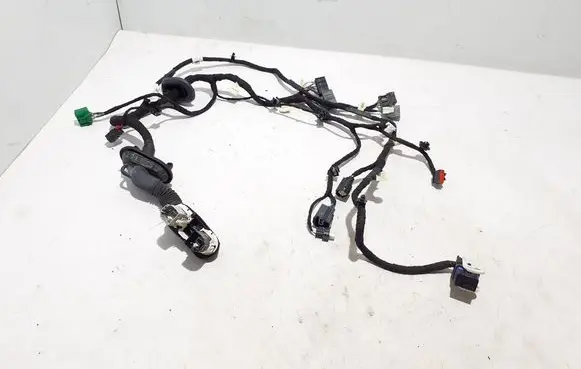 Ford Mach-E I Other wiring loom LJ8T14631NBH