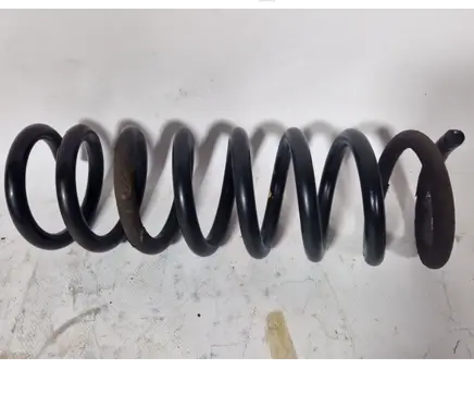 Rear coil spring