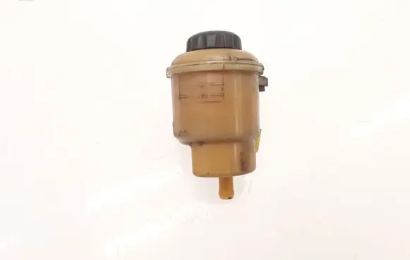 Opel Antara Power steering fluid tank/reservoir