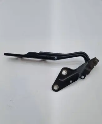 Ram 1500 DT Engine bonnet/hood hinges 806AB 0478A