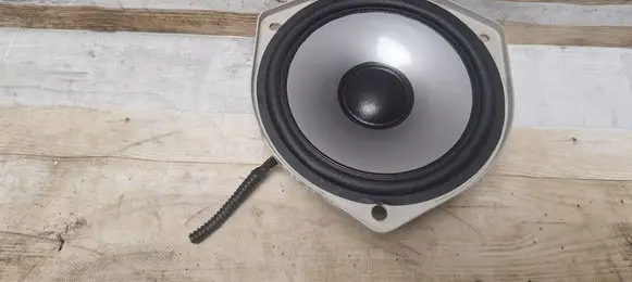 Rear door speaker