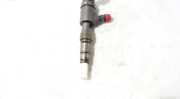 Peugeot Partner Fuel injector 0445110556