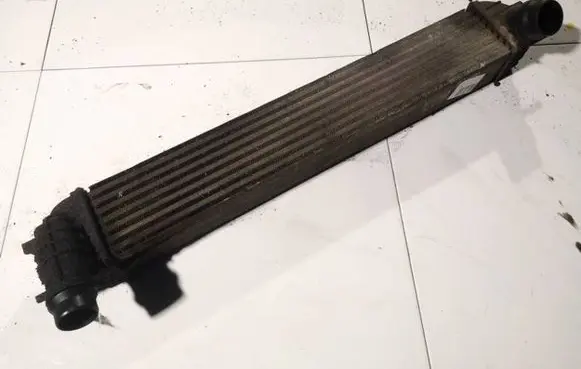 Renault Laguna III Intercooler radiator h9467002