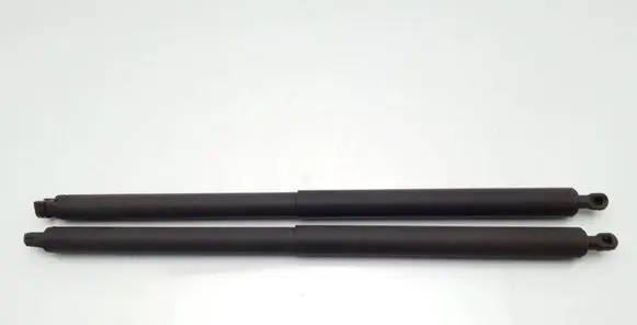 Opel Insignia A Tailgate/trunk strut/damper 0075640750N