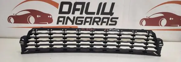 Citroen C3 Front grill