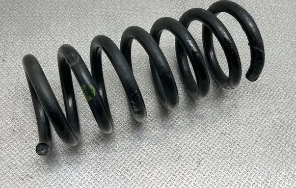 Rear coil spring