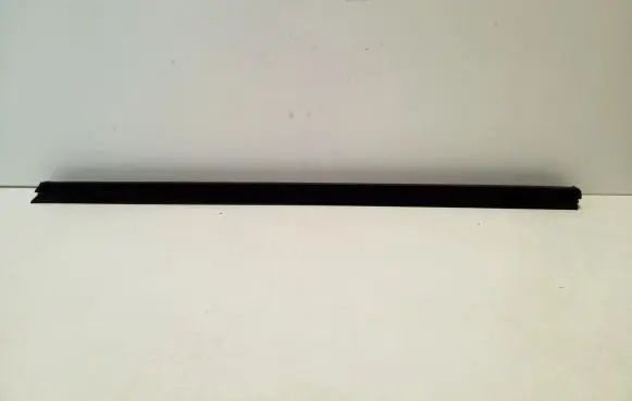 Ford Kuga III Rubber seal front door window/glass 