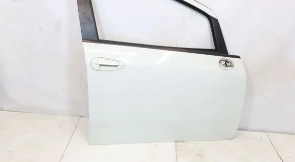 Fiat Punto (199) Front door 